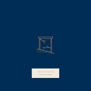 This Will Destroy You - Another Language