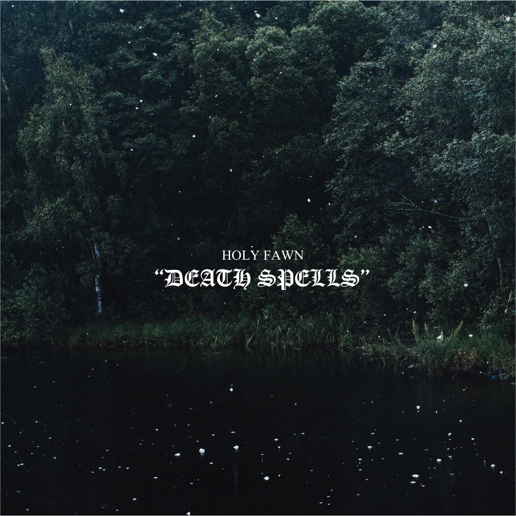 Holly Fawn - Death Spells