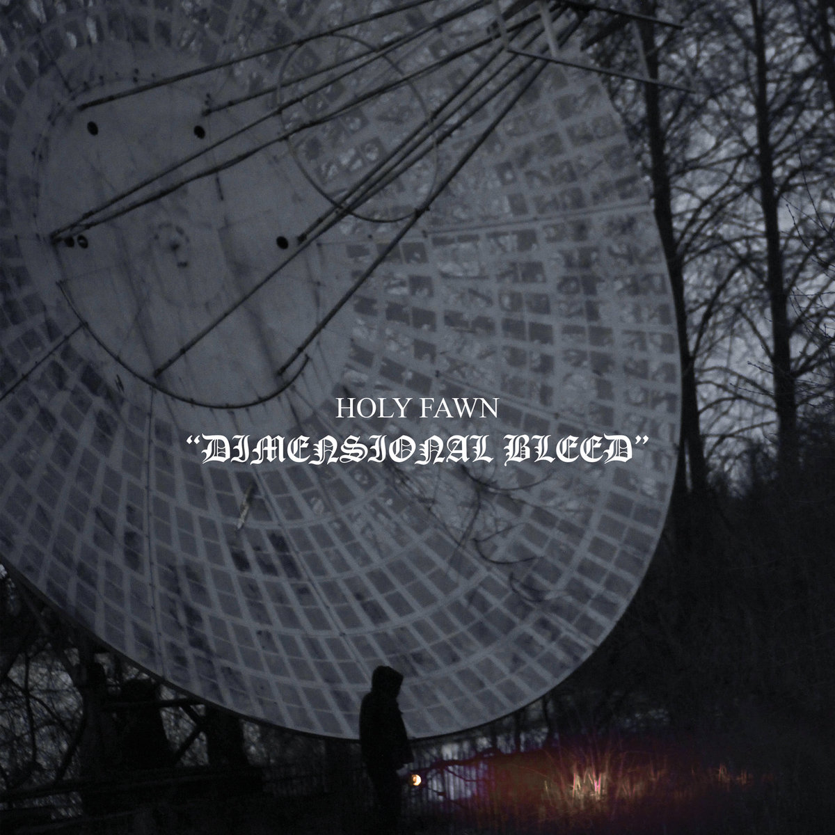 Holly Fawn - Dimensional Bleed