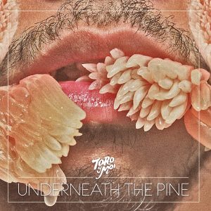 Toro Y Moi -  Underneath the Pine
