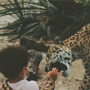 Unknown Mortal Orchestra - V