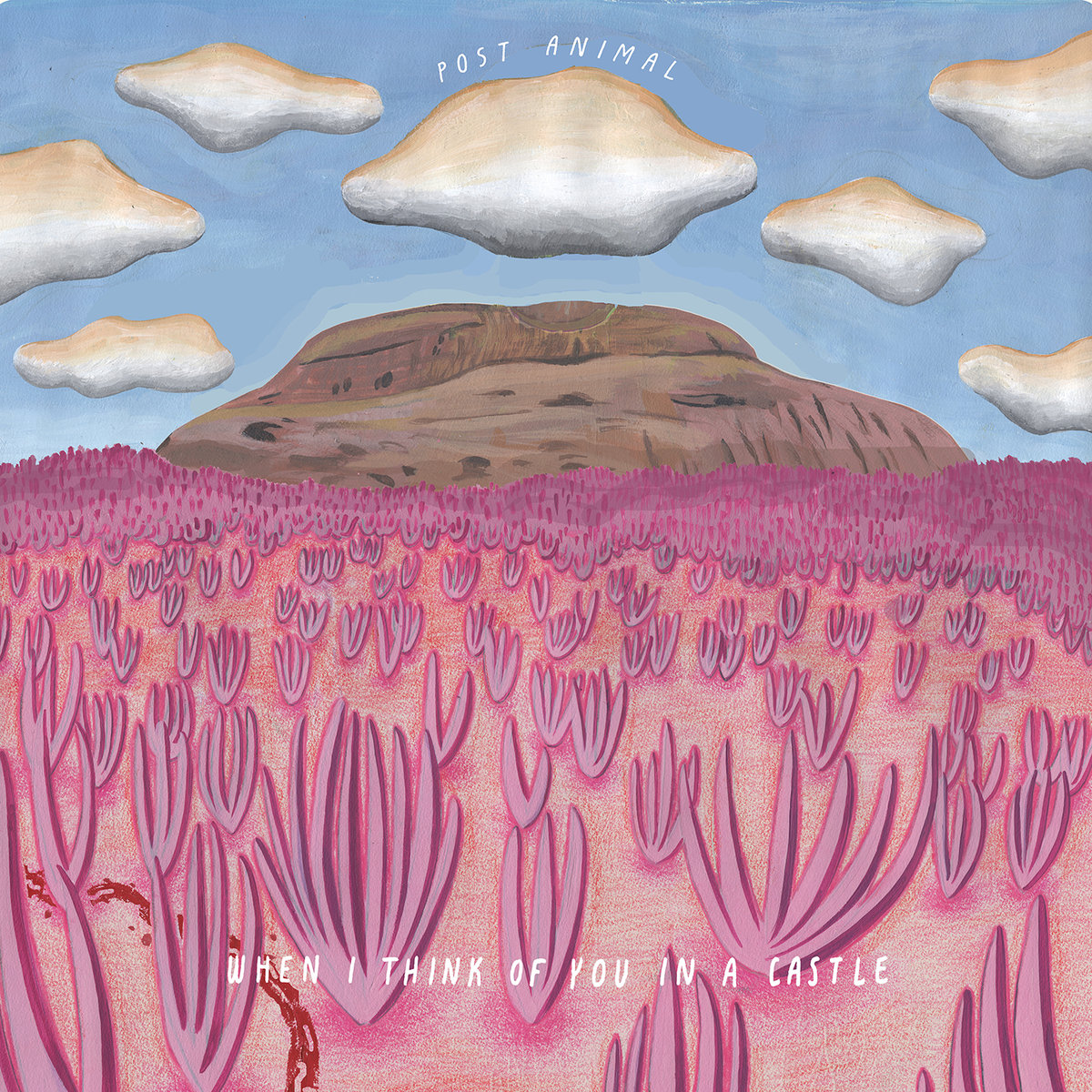 Post Animal - When I Think of You in a Castle